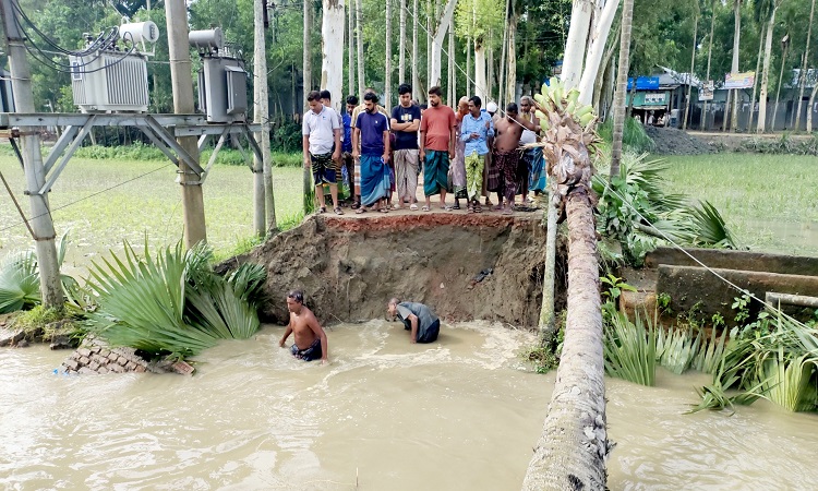 যমুনার পানির তোড়ে ভেঙে গেছে গোবিন্দাসী-ভালকুটিয়া সড়ক, দুর্ভোগে ১৫ হাজার মানুষ