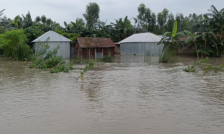 কুড়িগ্রামে তিন নদীর পানি বিপৎসীমার উপরে, ৩৪১ শিক্ষাপ্রতিষ্ঠান বন্ধ
