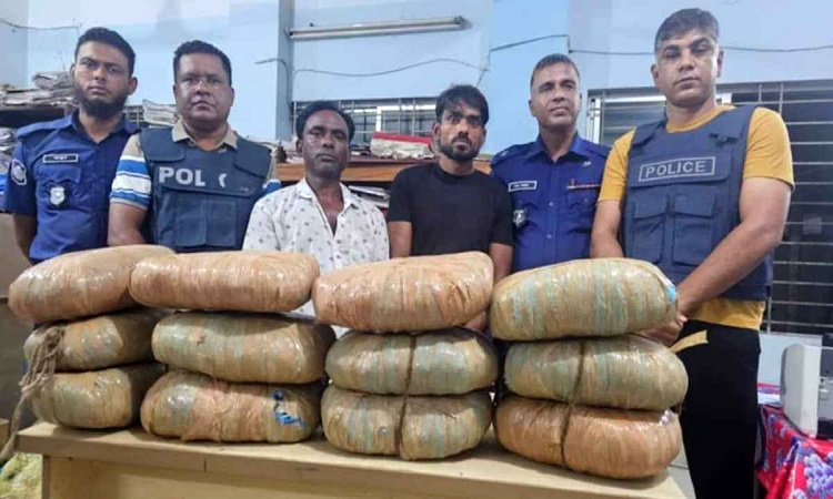 কসবায় ২৪ কেজি গাঁজাসহ গ্রেফতার ২