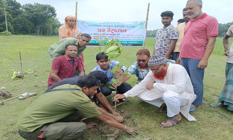 লোহাগড়ায় সামাজিক বনায়ন কর্মসূচির উদ্বোধন