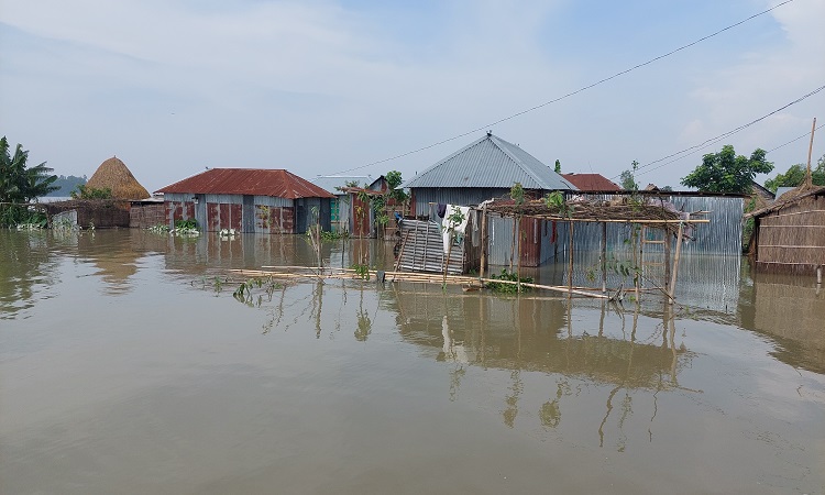 কুড়িগ্রামে বন্যা পরিস্থিতি অপরিবর্তিত, বেড়েছে বানভাসিদের দুর্ভোগ