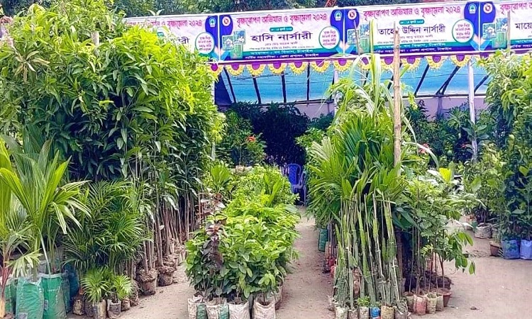 টাঙ্গাইলে সাত দিনব্যাপী বৃক্ষ মেলা শুরু