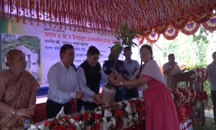 ব্রাহ্মণবাড়িয়ায় ১০ দিনব্যাপী বৃক্ষমেলা উদ্বোধন