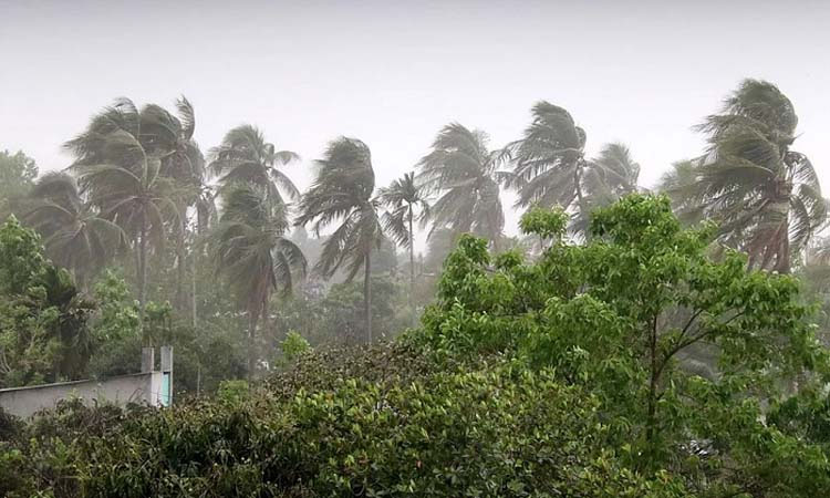 ১১ অঞ্চলে ঝোড়ো হাওয়াসহ বজ্রবৃষ্টির আশঙ্কা