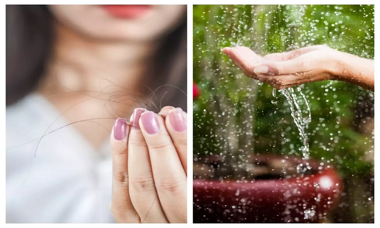 বর্ষায় চুল পড়ার পরিমাণ কমাতে মানবেন যে নিয়ম