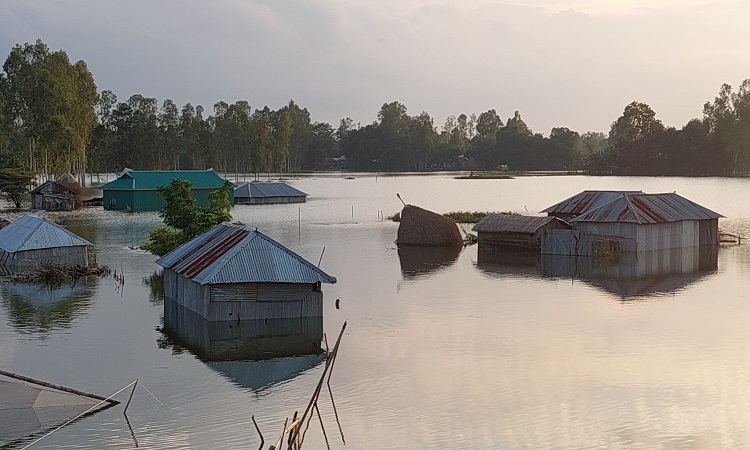 কুড়িগ্রামে বন্যা পরিস্থিতির কিছুটা উন্নতি