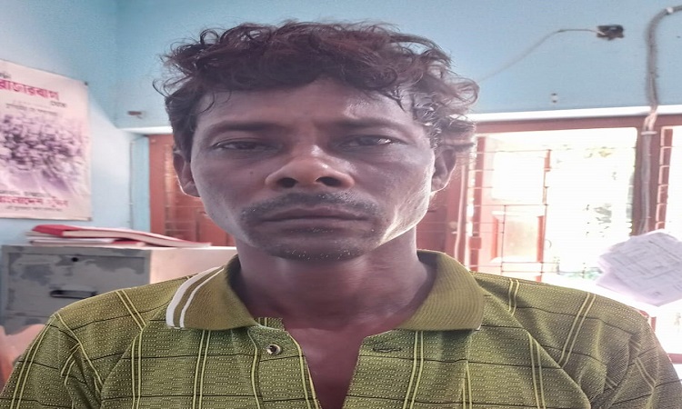 ১২ ঘণ্টা পর পুলিশি হেফাজত থেকে পালিয়ে যাওয়া আলম আটক