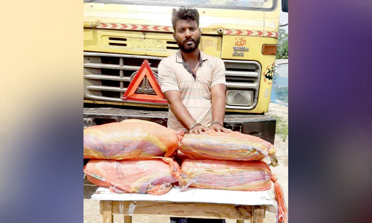 সিংড়ায় ধানের বস্তা থেকে ২৮ কেজি গাজা উদ্ধার