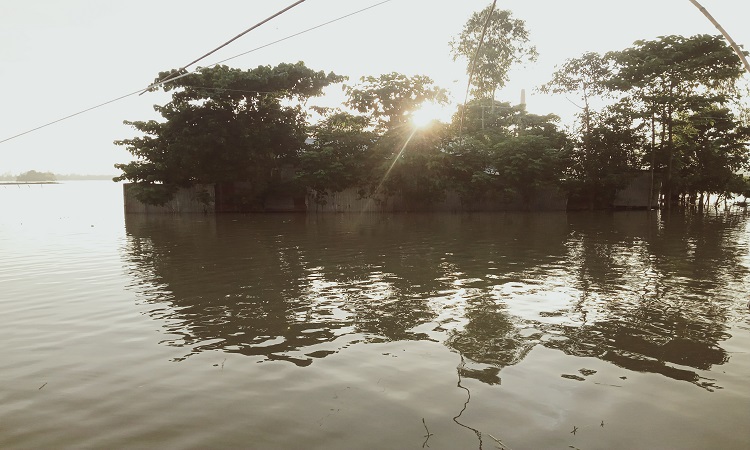 জামালপুরে বন্যা পরিস্থিতি অপরিবর্তিত, পানিবন্দি তিন লাখ মানুষ