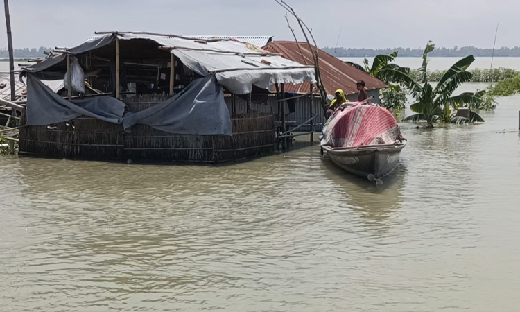 কুড়িগ্রামে বন্যা পরিস্থিতি অপরিবর্তিত, চরম কষ্টে বানভাসি মানুষ