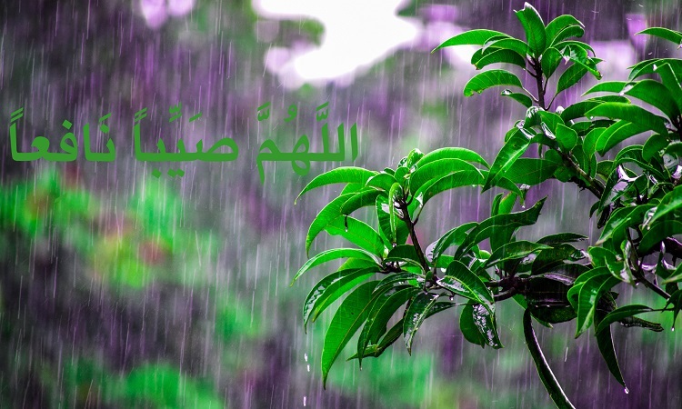 বৃষ্টির দিনে নবীজি যেসব আমল করতেন