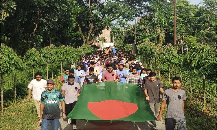 কোটা সংস্কার আন্দোলনকারীদের ওপর হামলার প্রতিবাদে ইবিতে বিক্ষোভ ও সমাবেশ