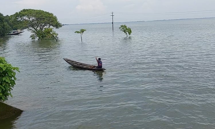 পানিতে ডুবে অন্তঃসত্ত্বা পুত্রবধূ ও শাশুড়ির মৃত্যু