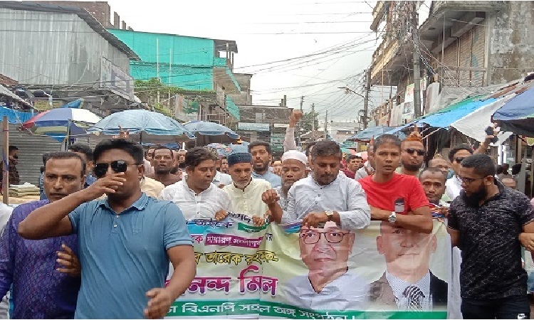 যুবদলের নতুন কমিটিকে শুভেচ্ছা জানিয়ে চরফ্যাশনে আনন্দ মিছিল