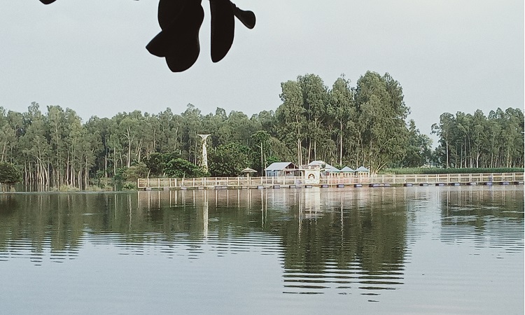জামালপুরে বন্যা পরিস্থিতি উন্নতি