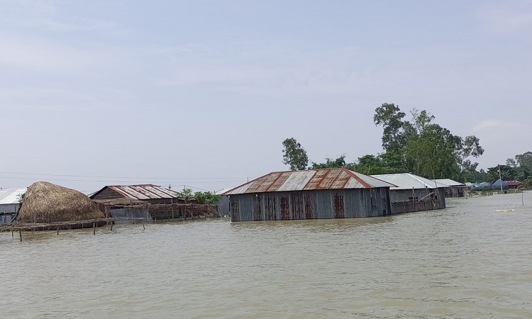কুড়িগ্রামে বন্যার পানি কমলেও দেখা দিয়েছে পানিবাহিত রোগ, নেই স্যানিটেশন ব্যবস্থা