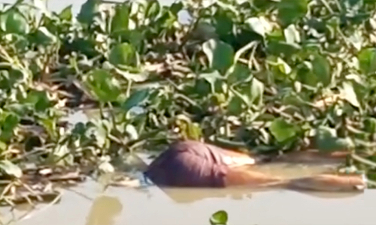 নড়াইলের মধুমতি নদী থেকে অজ্ঞাত যুবকের মরদেহ উদ্ধার