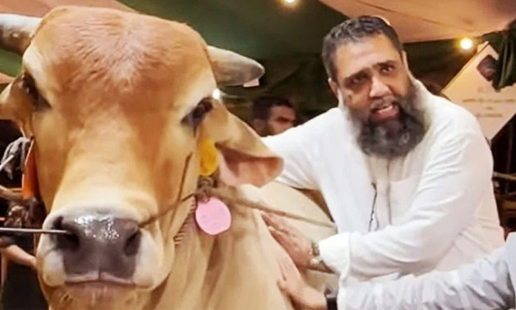 সাদিক অ্যাগ্রোর ইমরানসহ ৭ জনের বিরুদ্ধে মামলা