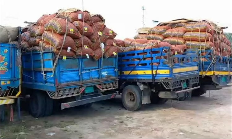 হিলিতে আমদানি বাড়ায় কমেছে কাঁচা মরিচের দাম