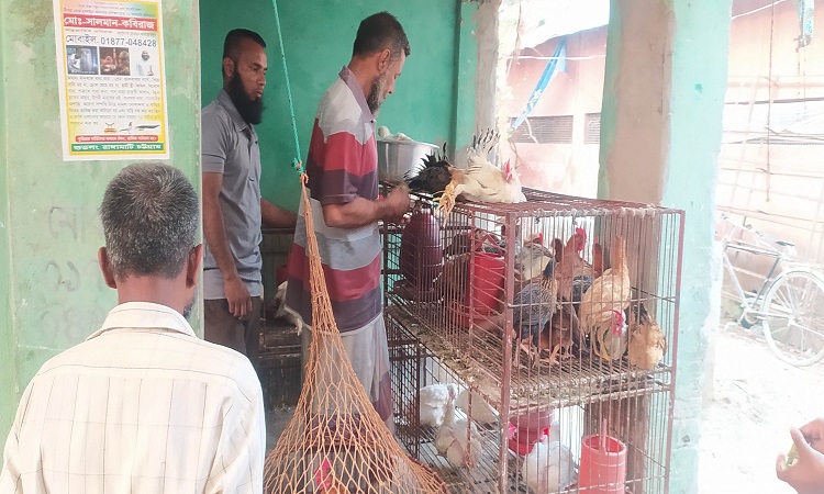 হিলিতে সপ্তাহের ব্যবধানে বেড়েছে মুরগির দাম