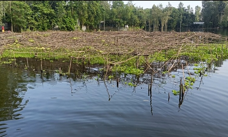 বন্যার পানি নেমে ক্ষতচিহ্ন স্পষ্ট, কৃষিতেই ক্ষতি ১০৫ কোটি টাকা