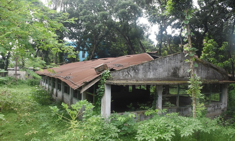 বেহাল দশা রাজবাড়ী সরকারি হাঁস-মুরগি খামারের