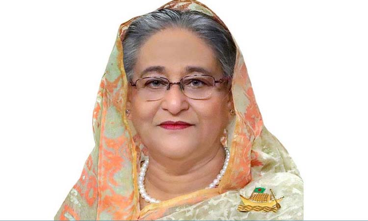 হেপাটাইটিস নির্মূলে ব্যাপক গণসচেতনতা সৃষ্টি প্রয়োজন: প্রধানমন্ত্রী