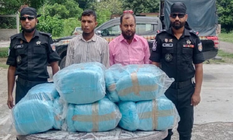 শরীয়তপুরে ৪৮ কেজি গাঁজা জব্দ, আটক ২
