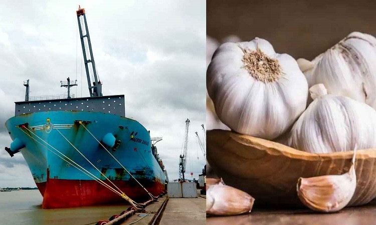 মোংলা বন্দর দিয়ে প্রথমবারের মতো রসুন আমদানি