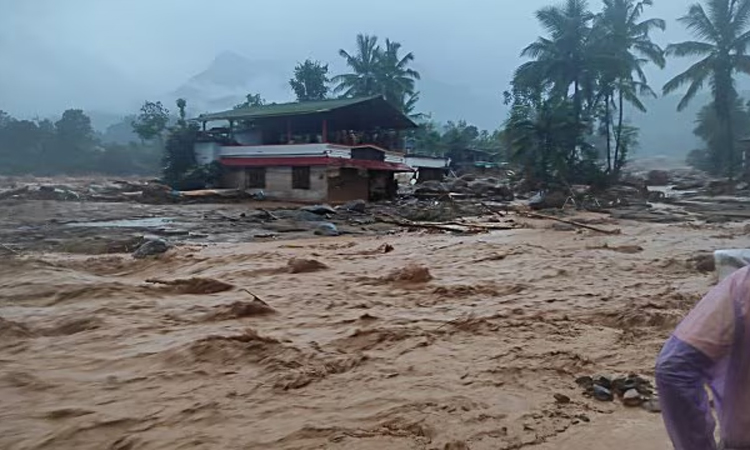 কেরালায় ভূমিধসে নিহত বেড়ে ৫০