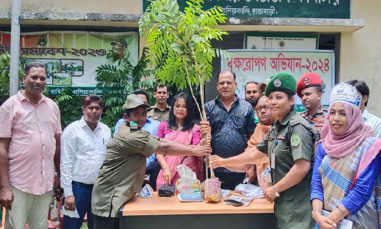 বালিয়াকান্দিতে আনসার ভিডিপির বৃক্ষরোপন কর্মসূচি