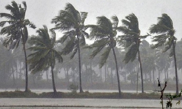 ১৩ জেলায় ৬০ কিলোমিটার বেগে ঝড়ের আভাস