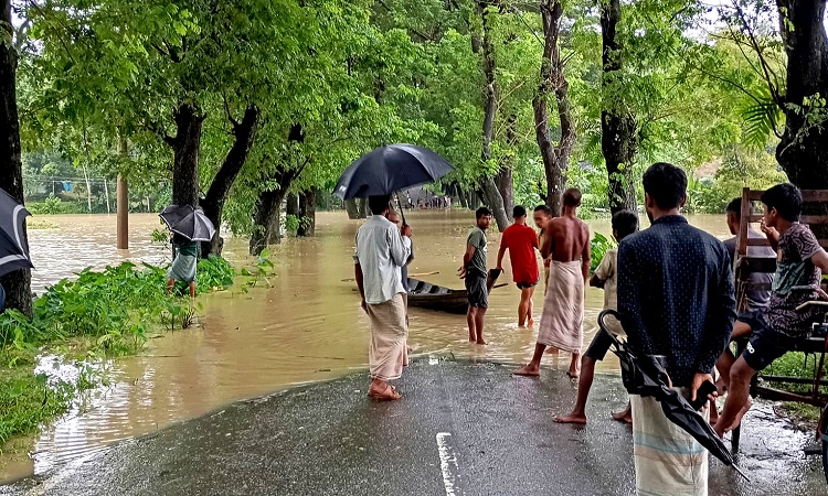 লামায় পাহাড়ি ঢলের পানিতে নীচু এলাকা প্লাবিত, গৃহবন্দি ১২ হাজার মানুষ