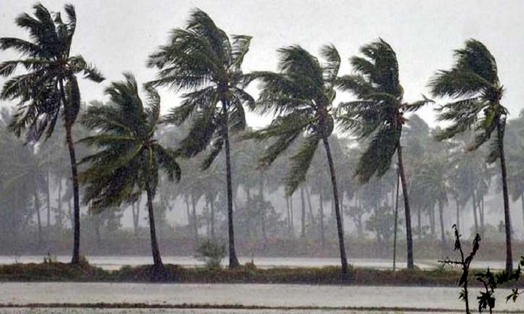 দেশের ৭ অঞ্চলে ঝোড়ো হাওয়াসহ বজ্র বৃষ্টির শঙ্কা
