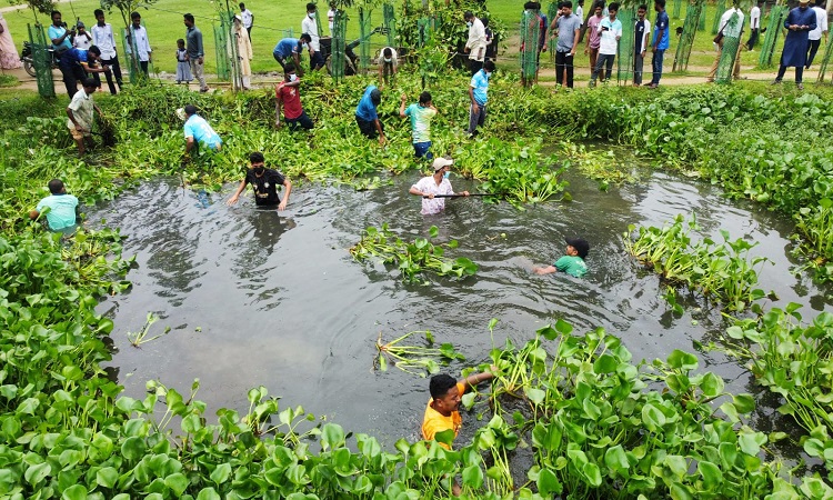 শেরপুরে স্বেচ্ছাশ্রমে বিদ্যালয় সংলগ্ন পুকুরের কচুরিপানা অপসারণ