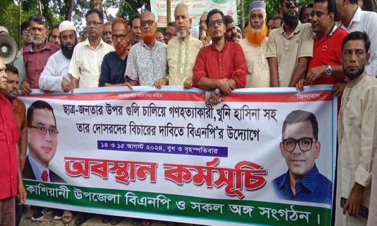 কাশিয়ানীতে বিএনপি'র অবস্থান কর্মসূচি