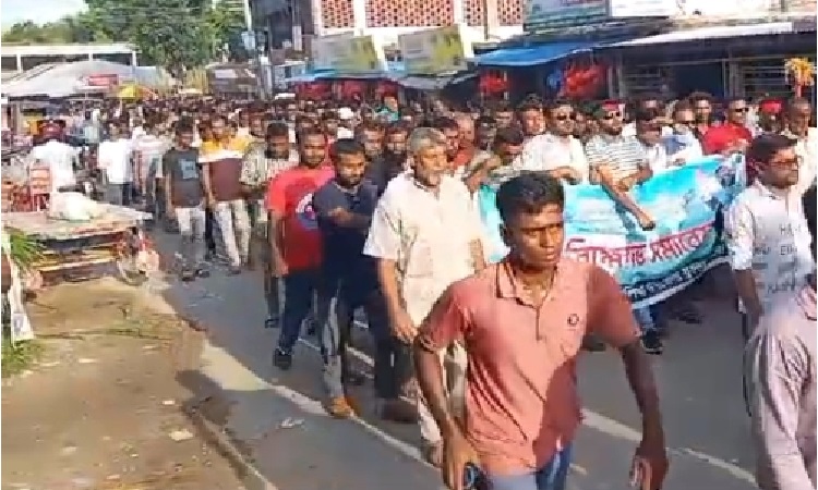 শালিখায় বিএনপির বিক্ষোভ মিছিল