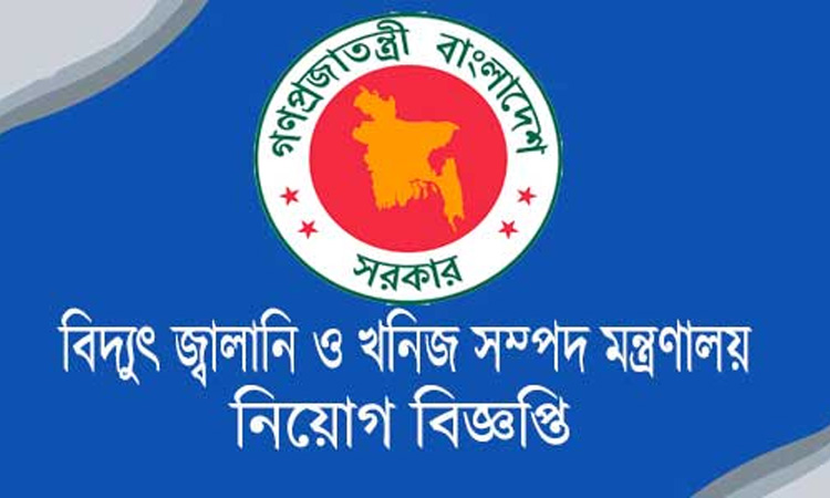 বিদ্যুৎ-জ্বালানি সরবরাহ বিশেষ আইনে চলা সব কার্যক্রম বন্ধ