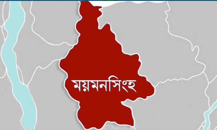 ময়মনসিংহে সাবেক এমপিসহ ৬০০ জনের বিরুদ্ধে মামলা