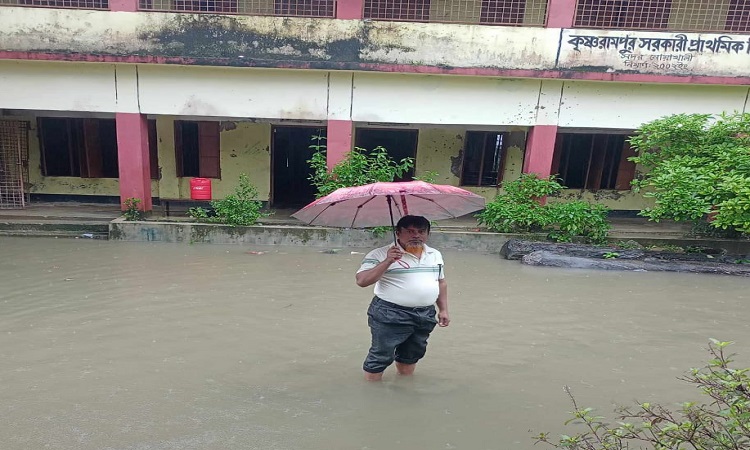 টানা বৃষ্টিতে নোয়াখালীতে পানিবন্দি লাখ লাখ মানুষ, ডুবে গেছে মাছের ঘের