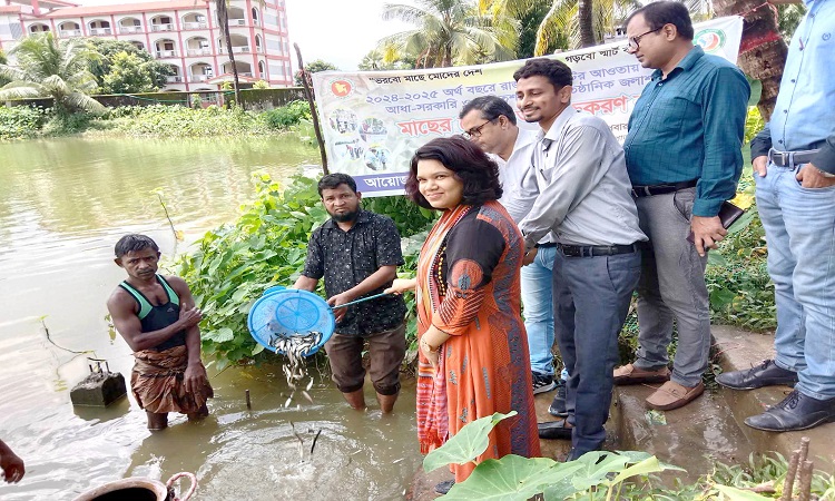 লামা উপজেলা পরিষদ পুকুরে মাছের পোনা অবমুক্তকরণ