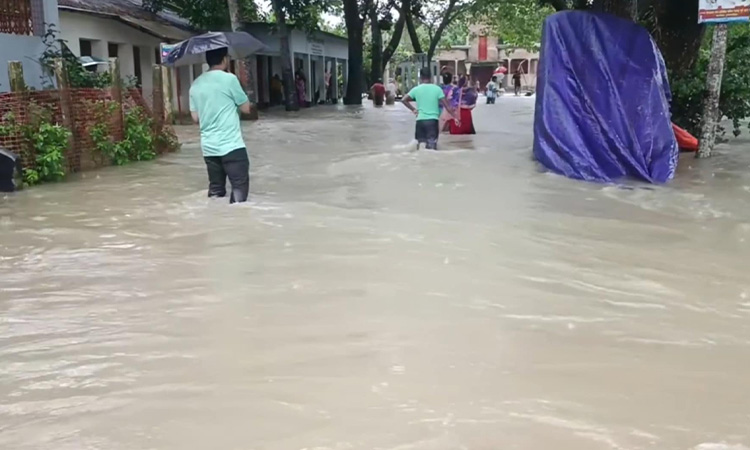 আখাউড়ায় পাহাড়ি ঢলে তলিয়ে গেছে ৩০ গ্রাম, গর্ভবতী নারীর মৃত্যু