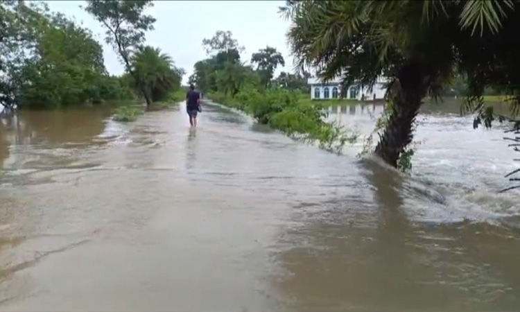 আখাউড়ায় ৮ স্থানে সড়ক ভেঙে যোগাযোগ বিচ্ছিন্ন, স্থলবন্দর সাময়িকভাবে বন্ধ