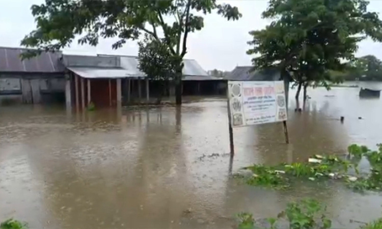বন্যাকবলিত এলাকার কৃষি অফিসারদের ছুটি বাতিল