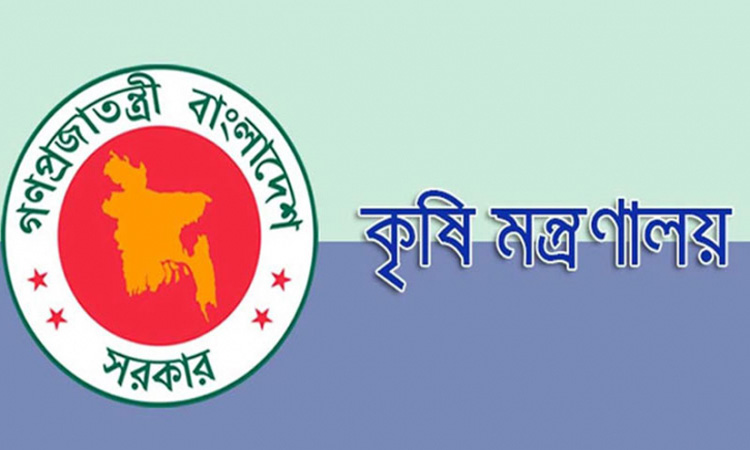 বন্যা পরবর্তী করণীয় সম্পর্কে কৃষি মন্ত্রণালয়ের ১২ সিদ্ধান্ত