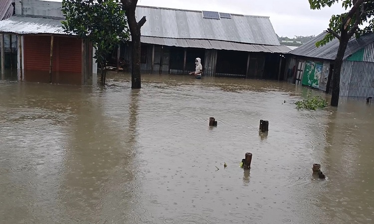 আখাউড়ায় কমতে শুরু করেছে বন্যার পানি