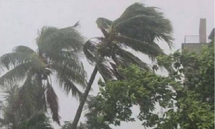 দুপুরের মধ্যে ৮ অঞ্চলে ঝড়-বৃষ্টির আভাস