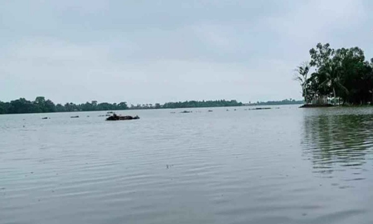খুলনায় বেড়িবাঁধ ভেঙে ১৩ গ্রাম প্লাবিত, পানিবন্দি ১৫ হাজার মানুষ