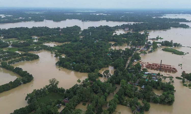 ১১ জেলায় বন্যার্তদের জন্য বরাদ্দ সাড়ে ৩ কোটি টাকা