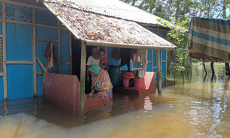 বাড়ছে পানি, অবনতির দিকে লক্ষ্মীপুরের বন্যা পরিস্থিতি